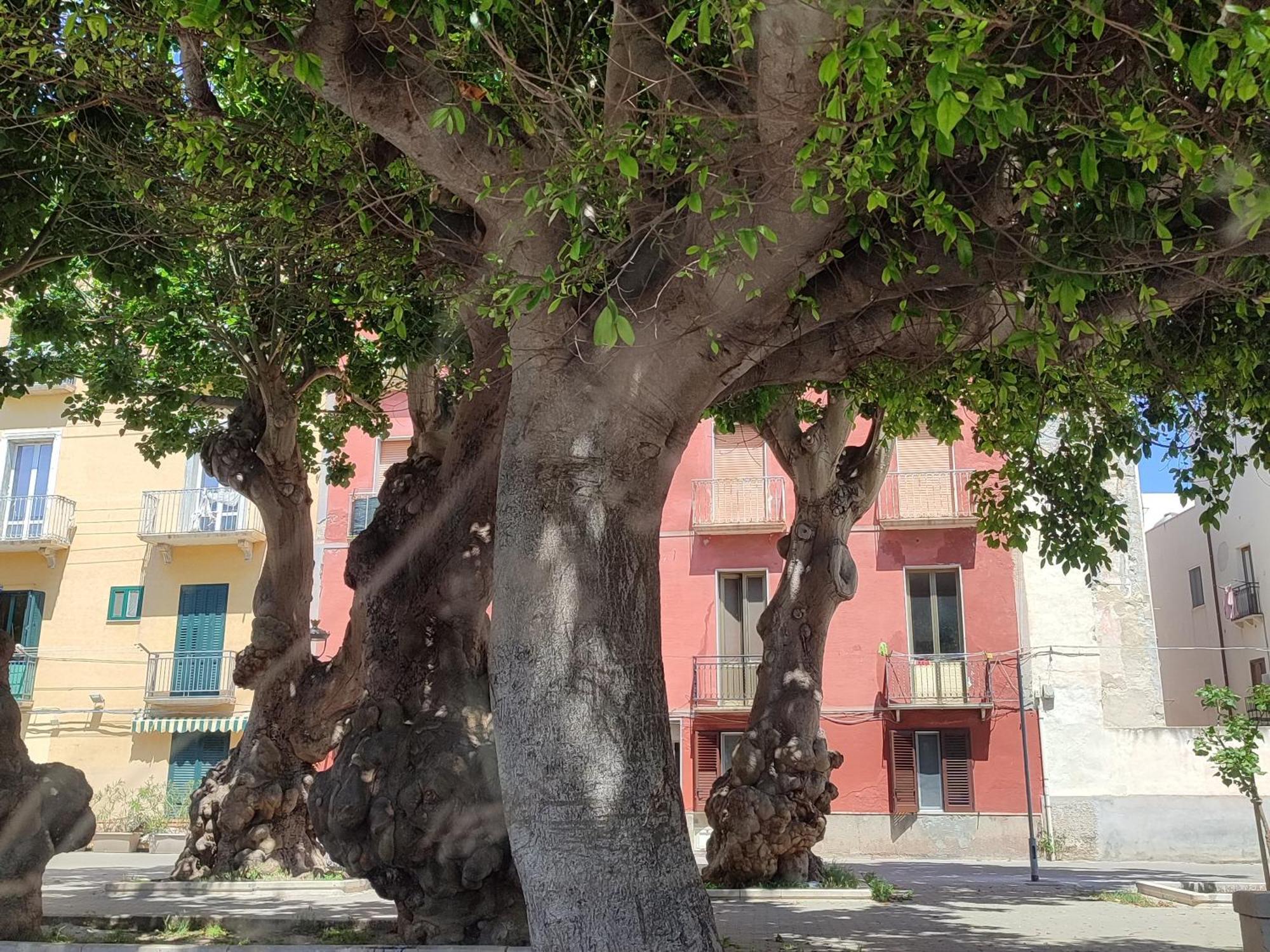 Alla Marina Da Pina Trapani Buitenkant foto