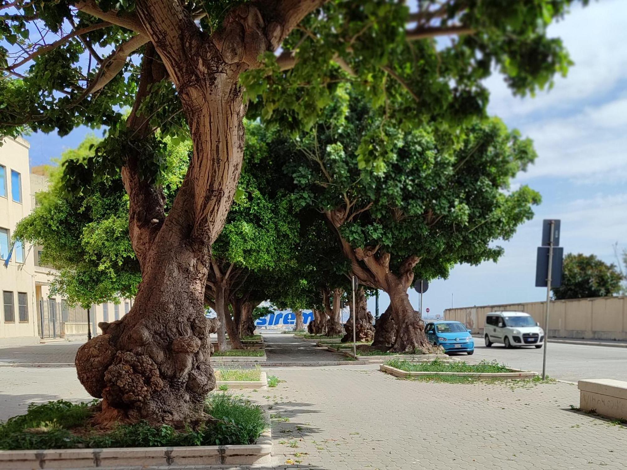 Alla Marina Da Pina Trapani Buitenkant foto